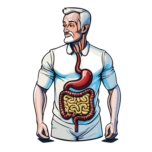 Digestive Health